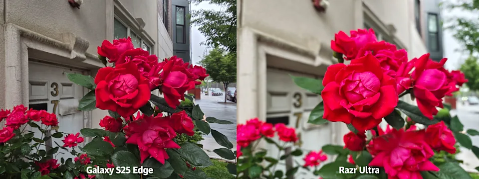 Pixel or iPhone