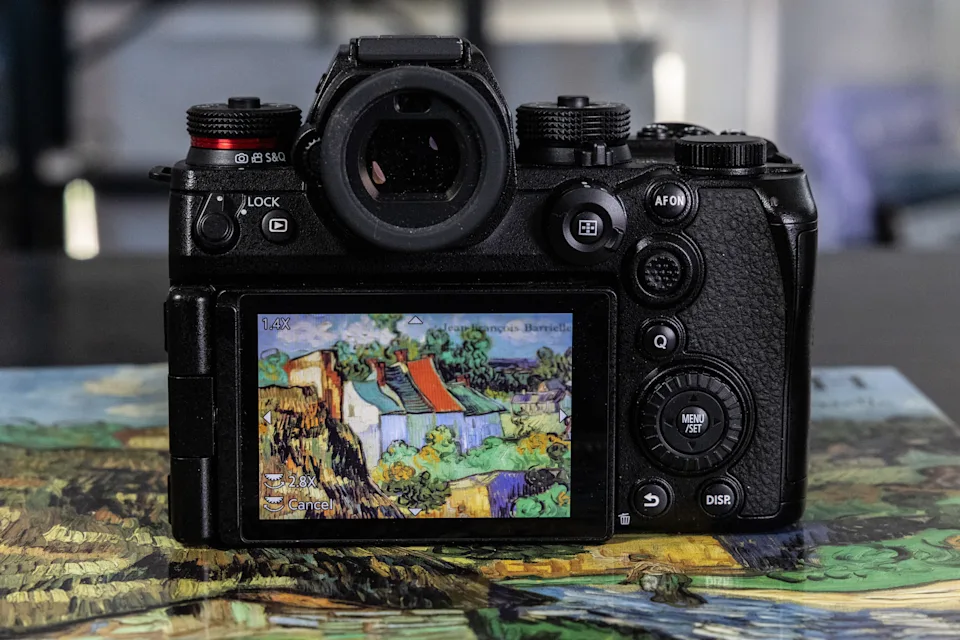RAW video capture